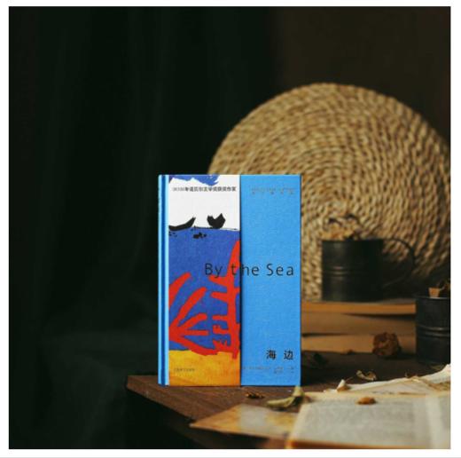 海边 商品图2