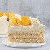 乳脂奶油蛋糕 生日蛋糕 新款乳脂奶油 商品缩略图2