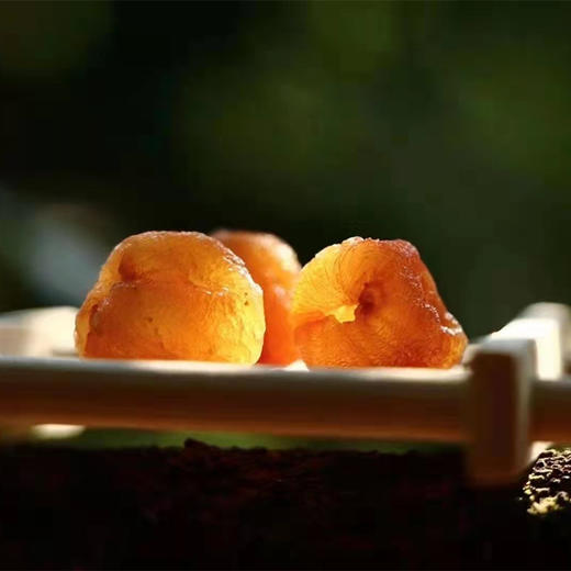 【蜜饯精选】高州老树桂圆肉 地标美食 15斤鲜龙眼出1斤桂圆肉 荔枝柴火烘焙 金黄剔透 商品图2