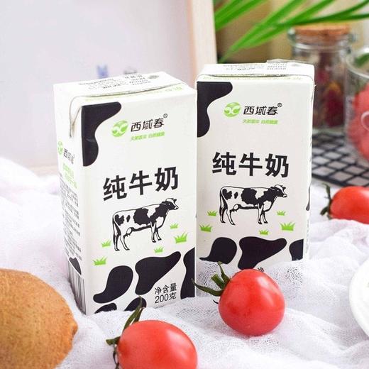 新疆特产西域春纯牛奶200g*20盒成人儿童早餐全脂全牛乳 商品图1