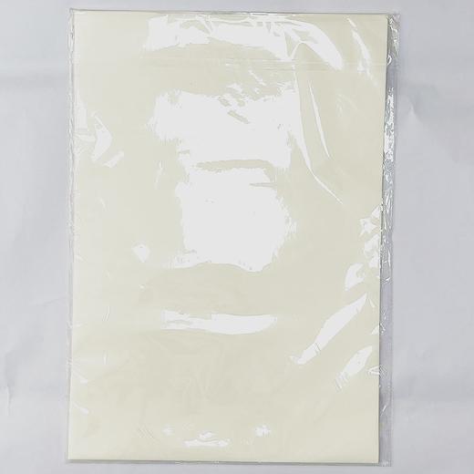 天天练书画练习宣纸熟宣纸4开50页书法国画文房四宝 商品图1