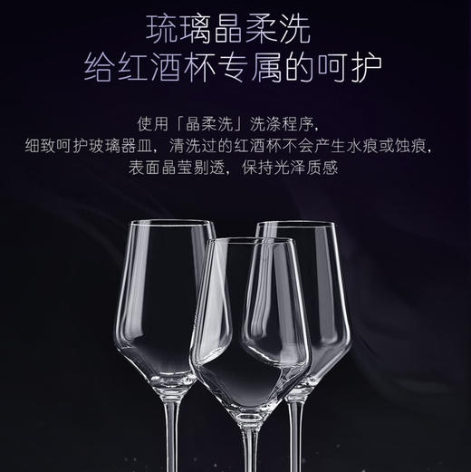 卡萨帝（Casarte）洗碗机 CW13028BK 商品图12