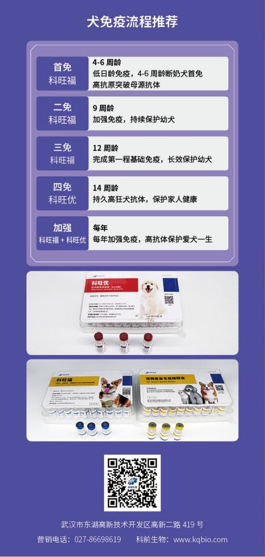 科旺福-犬五联疫苗-犬瘟，犬细小，腺病毒1型，腺病毒2型，副流感 商品图6