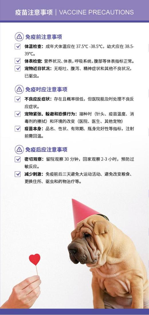 科旺福-犬五联疫苗-犬瘟，犬细小，腺病毒1型，腺病毒2型，副流感 商品图4