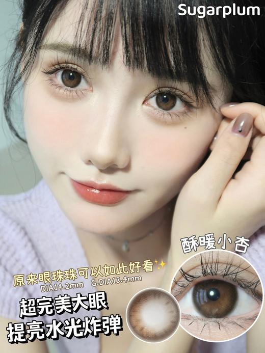 SugarPlum淡颜小黑/酥暖小杏 硅水凝胶（年抛型） 商品图0