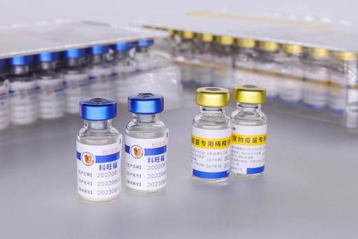 科旺福-犬五联疫苗-犬瘟，犬细小，腺病毒1型，腺病毒2型，副流感 商品图0