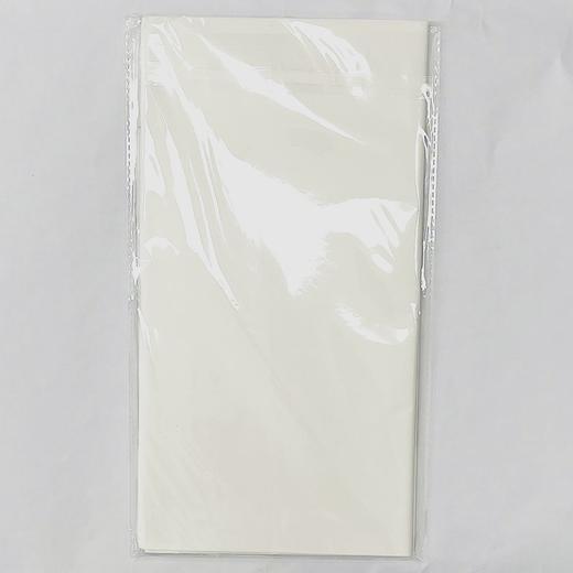 天天练四尺四开宣纸半生半熟宜书宜画10张34*69cm书法国画文房四宝 商品图1