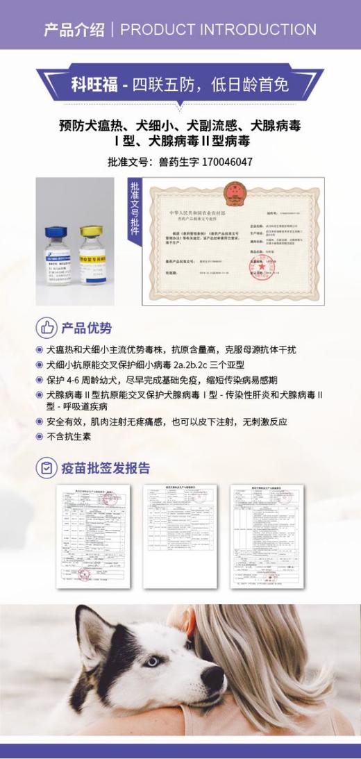 科旺福-犬五联疫苗-犬瘟，犬细小，腺病毒1型，腺病毒2型，副流感 商品图2