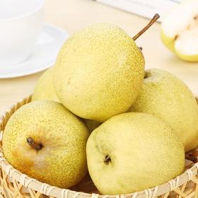 有机金盖酥梨5斤装