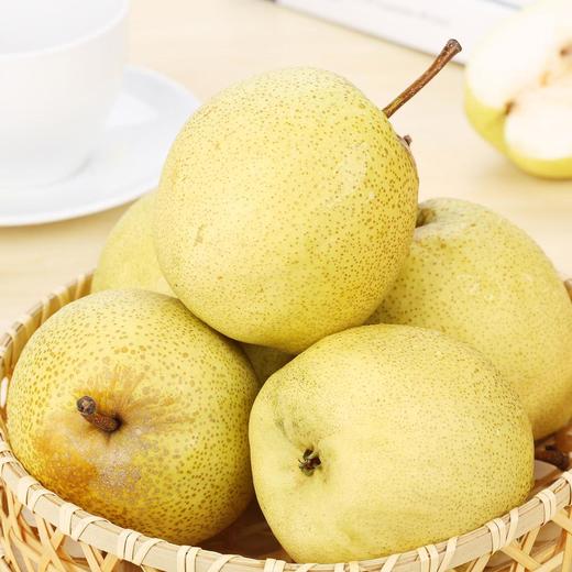 有机金盖酥梨5斤装 商品图0