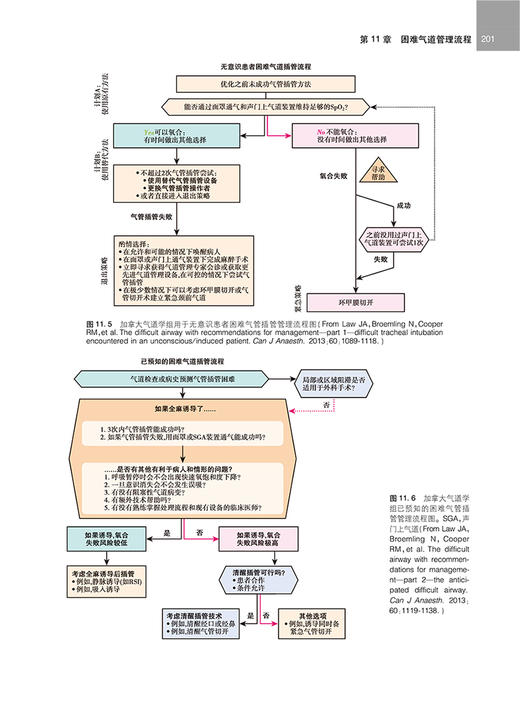 现货 Hagberg与Benumof气道管理学 第4版 左明章等译 麻醉学气道管理指南流程操作方法案例分析临床 人民卫生出版社9787117328876 商品图4