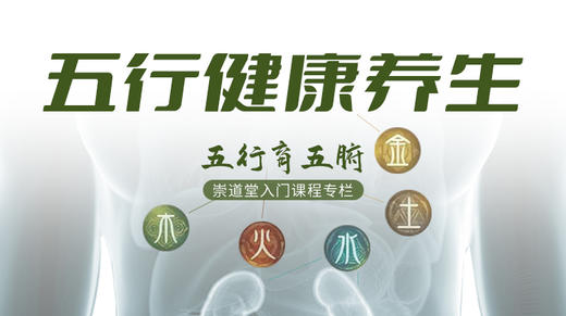 五行健康养生 商品图0