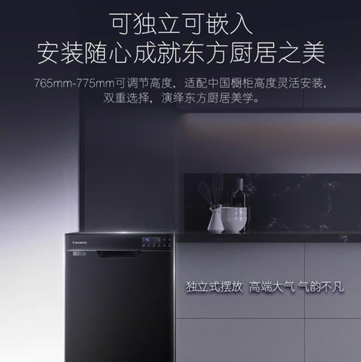 卡萨帝 （Casarte）洗碗机 CYW10128BKU1 商品图11