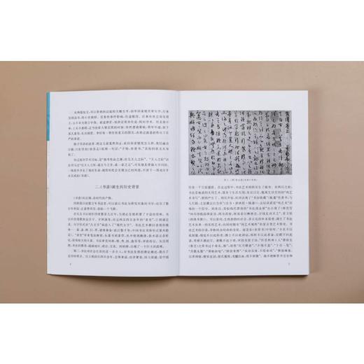 书谱 续书谱译注 商品图1