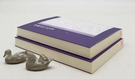 《康輏纪行校笺》，上下，[清]姚莹著，刘建丽校笺，上海古籍出版社2017年版，810页，定价128，售价58元。 商品图2