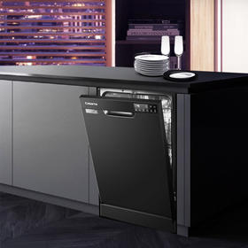 卡萨帝 （Casarte）洗碗机 CYW10128BKU1