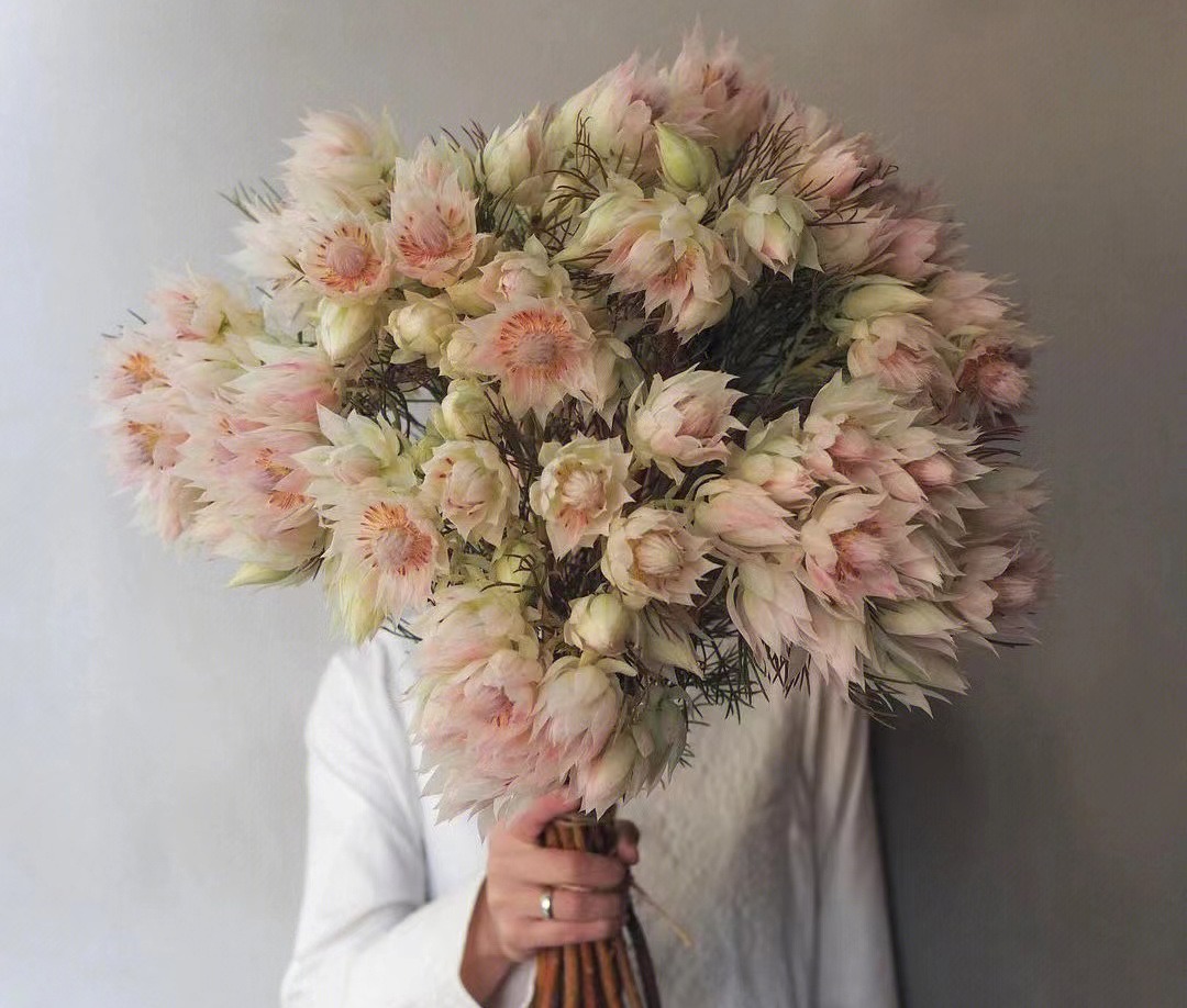 新娘花【你我有幸，一起说声我愿意】简小姐精选 南非进口超稀有高端仙女系花材 新娘花 2束包邮 下单5天发货