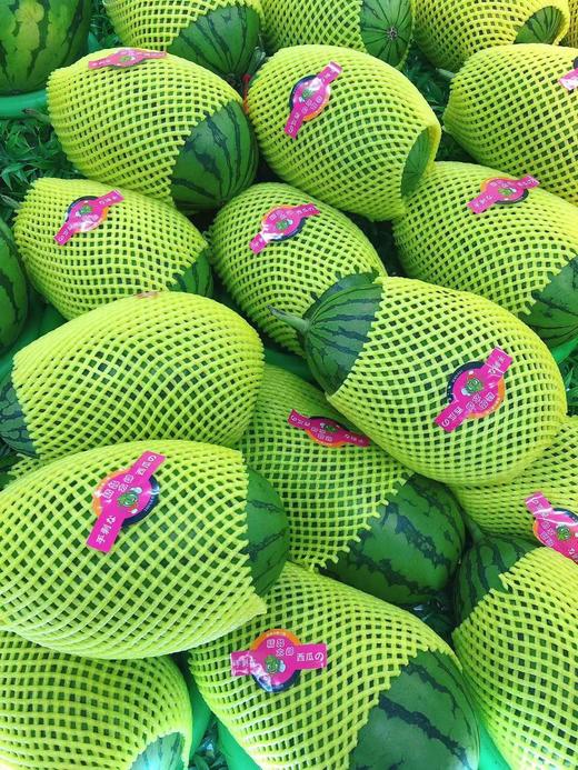 手掰西瓜一个（拼团） 商品图1