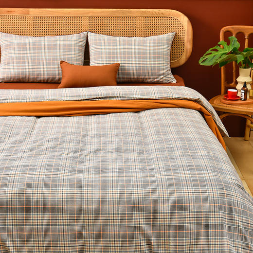 英伦格纹床上四件套纯棉秋冬床品 商品图0