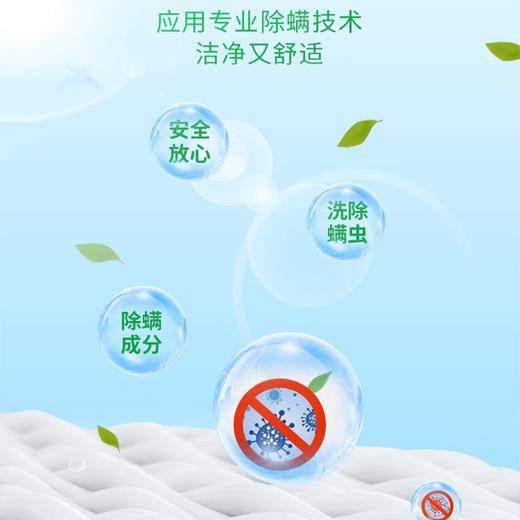 白猫冷水速洁洗衣粉 2.5kg/包 商品图2