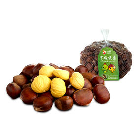 有机鲜板栗、百年古树板栗5斤包邮