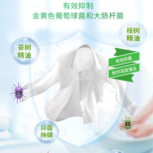 白猫冷水速洁洗衣粉 2.5kg/包 商品图3