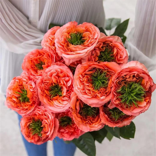 厄瓜多尔Mandarin x-pression橘子印象10支 商品图0