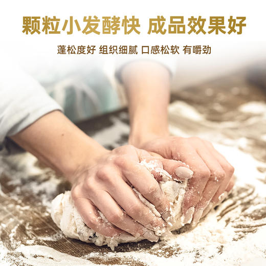 乐斯福燕子牌面包耐高糖酵母粉家用烘焙高活性发酵粉5g*10包 商品图1