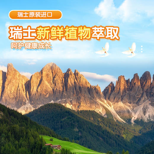 瑞士Vitalp维多普 菊花晶/维c菊花晶/可舒/立舒 冲饮 200克/罐 商品图2