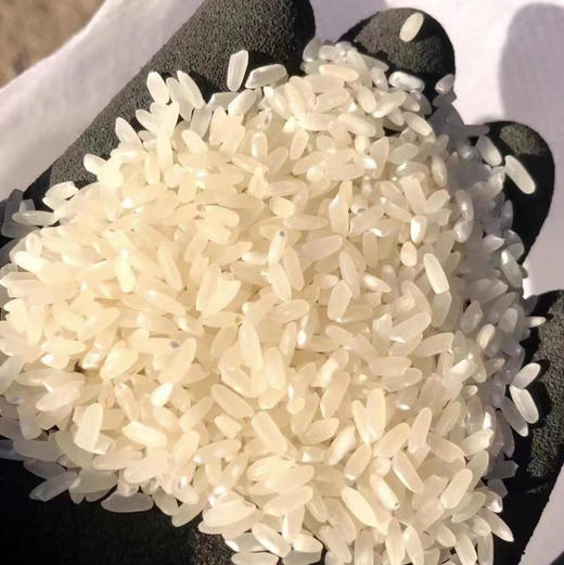 25年新米上市，中国地理标识产品，正宗核心产区五常稻花香米，谷粒现磨，米中贵族，皇家贡品有机认证，五常有机稻花香大米 原生态 不抛光 香味绵长 新米现磨  商品图11