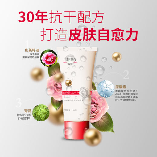 裂博山茶籽油抗干修护手霜、足霜 、身体乳系列 商品图5