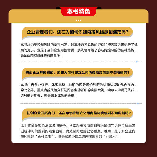 企业内部控制全流程操作从入门到实践 企业管理财务会计风险防控书籍主要风险点企业内部管理精细化管理 商品图2