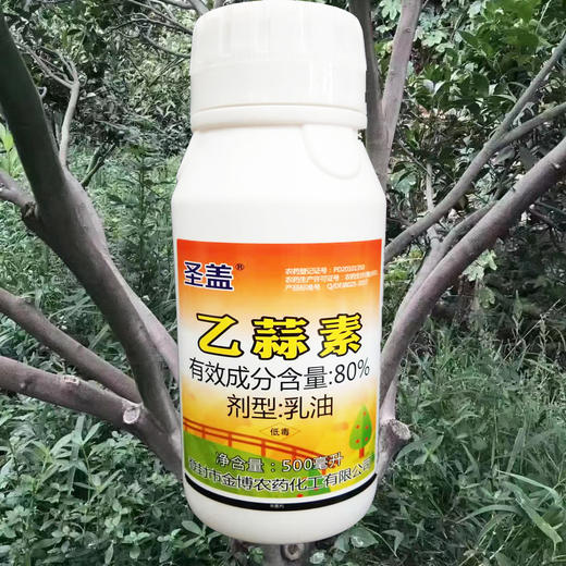 乙蒜素大蒜油真菌细菌根腐病青枯病枯萎柑橘青苔病农药杀菌剂 商品图3