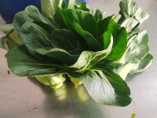 黑大头青菜（400g） 商品图0