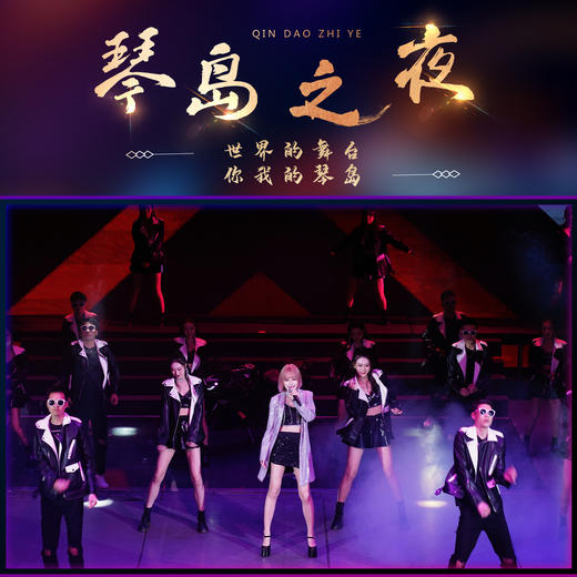 《琴岛之夜》一楼AB区门票（开演特惠价） 商品图3