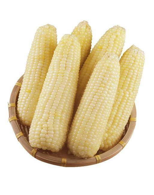 糯玉米  3.36元/1根 商品图0