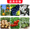 垦多乐复硝酚钠植物生长调节剂花果上色促生根保花保果蔬菜花卉 商品缩略图3