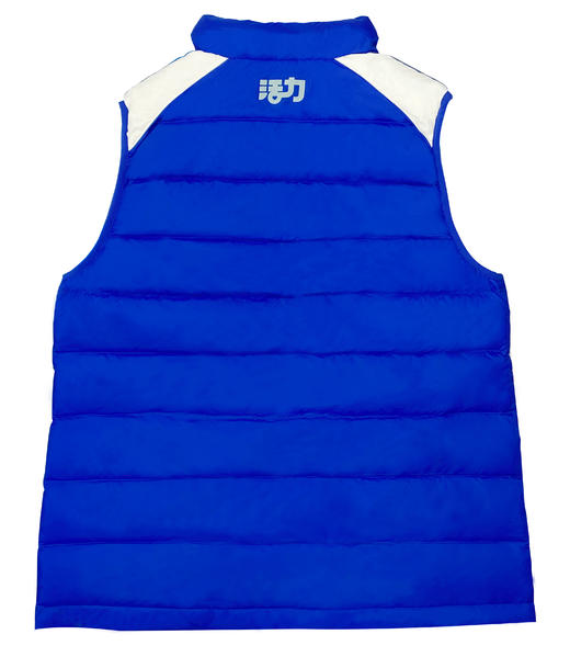深圳南方科技大学（宝安学校）小学羽绒马甲85%白鸭绒背心保暖立领无袖（送校徽）（羽绒马甲均为整码） 商品图5