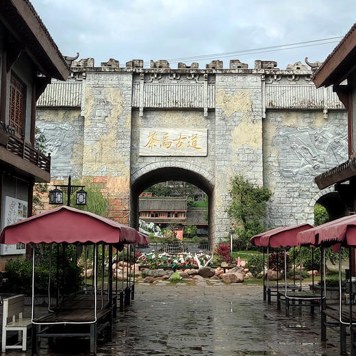 10月7日晚20点【茶马古道】普洱茶生茶云南易武倚邦核心产区，茶人心中的君子茶，500克/砖 拍4发6拍20发32 商品图3