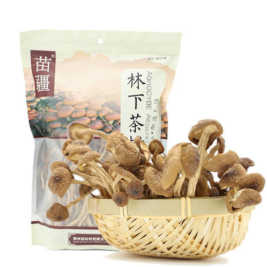 黔东南岑巩【林下茶树菇】248g装 深山好菇  源于自然 全国包邮 部分地区不发货 商品图0