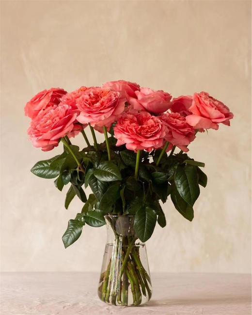 厄瓜多尔Mandarin x-pression橘子印象10支 商品图2