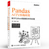 Pandas入门与实战应用 ：基于Python的数据分析与处理 Pandas数据实战分析 Pandas实战应用教材书 Pandas快速入门 周峰 商品缩略图0