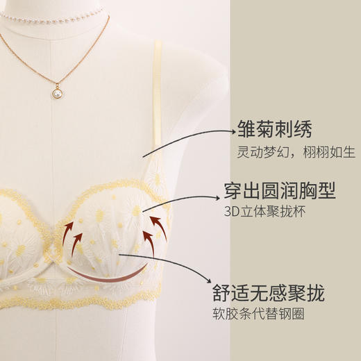 金三塔悸动花期法式蕾丝刺绣内衣女小胸聚拢撞色真丝文胸薄套装 NZFDA397 商品图3