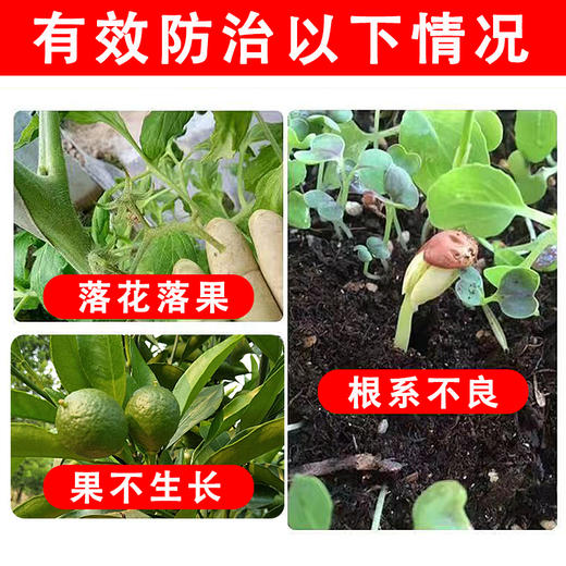 垦多乐复硝酚钠植物生长调节剂花果上色促生根保花保果蔬菜花卉 商品图2