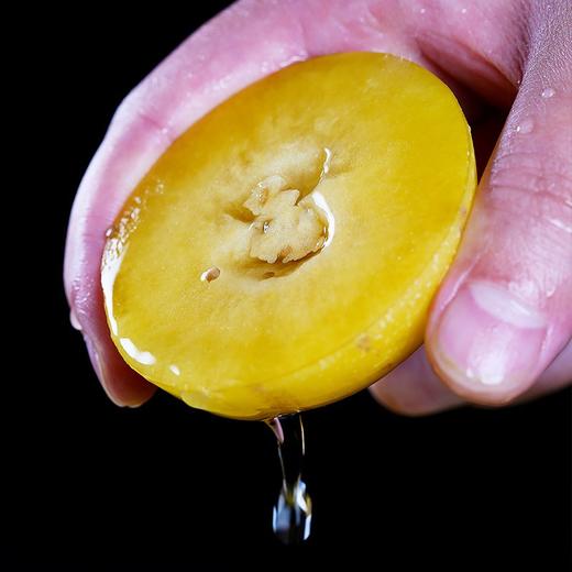 攀枝花红土地树上熟人参果 净重3-5斤装 甄选品质果 果香浓郁 汁水丰沛 黄肉圆果新鲜水果 商品图9