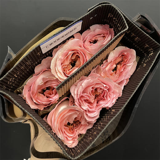 厄瓜多尔Mandarin x-pression橘子印象10支 商品图4