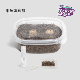 科学罐头乌龟蛋蚕宝宝