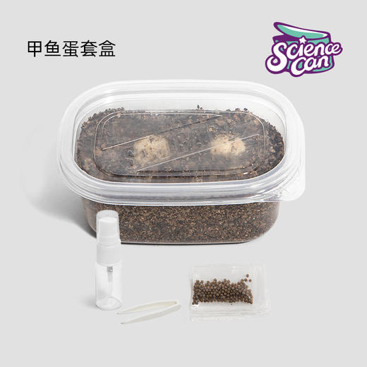 科学罐头乌龟蛋蚕宝宝 商品图0