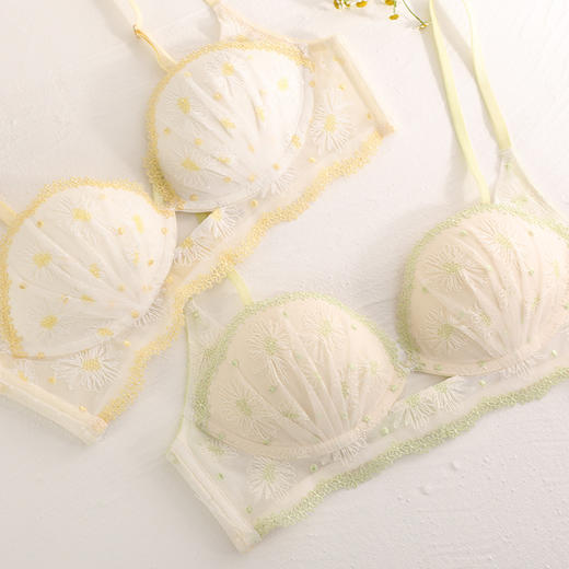 金三塔悸动花期法式蕾丝刺绣内衣女小胸聚拢撞色真丝文胸薄套装 NZFDA397 商品图2