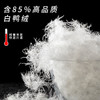 深圳南方科技大学（宝安学校）小学羽绒马甲85%白鸭绒背心保暖立领无袖（送校徽）（羽绒马甲均为整码） 商品缩略图2